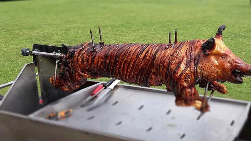 Whole hog roasting on a spit over a catering tray outdoors